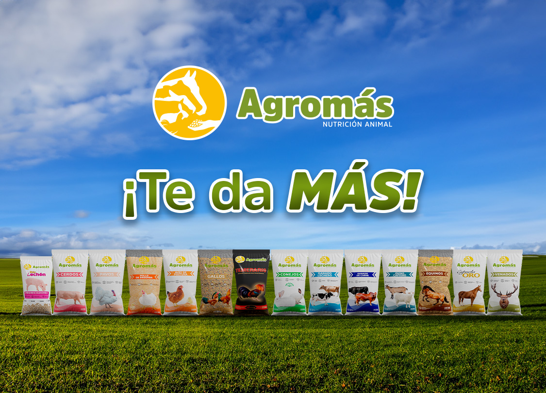  Agromas Carrusel Principal movil