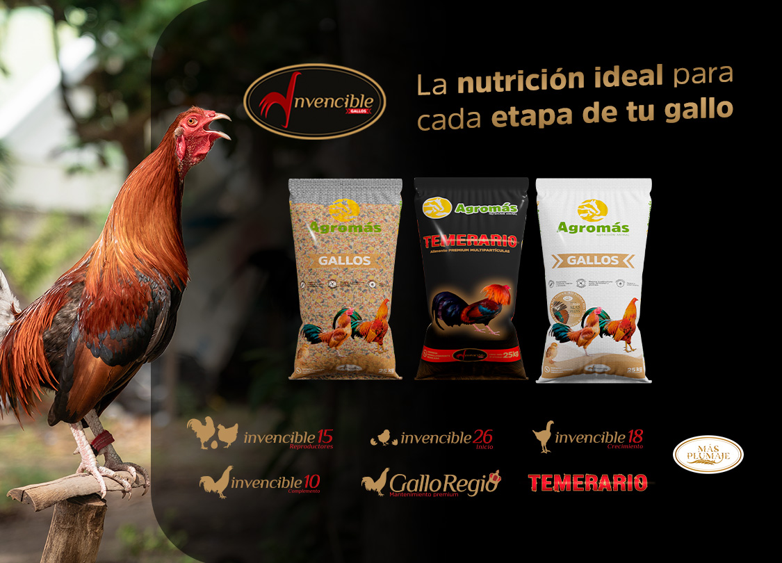  Agromas Carrusel LÍNEA DE GALLOS movil