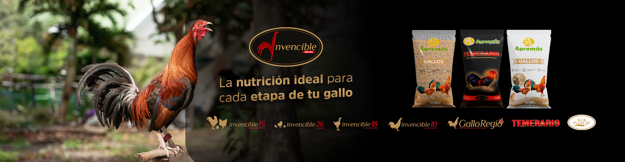  Agromas Carrusel LÍNEA DE GALLOS escritorio