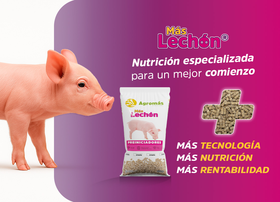  Agromas Carrusel MÁS LECHÓN movil